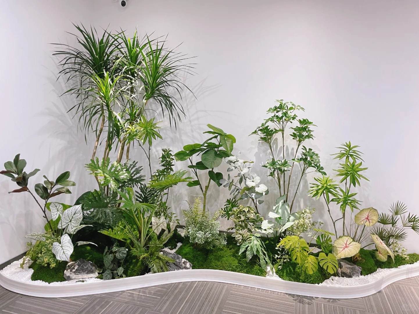 专业花卉租摆在杭州湾，点亮生活之美